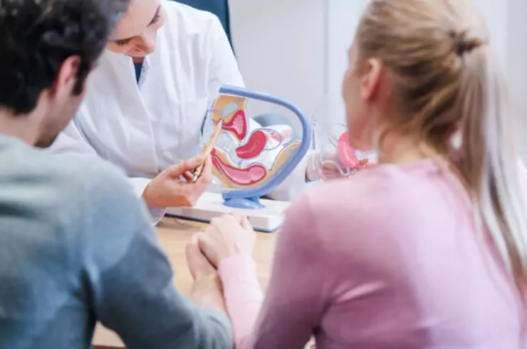 Fertility Evaluation