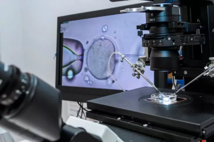 In-Vitro Fertilization (IVF)