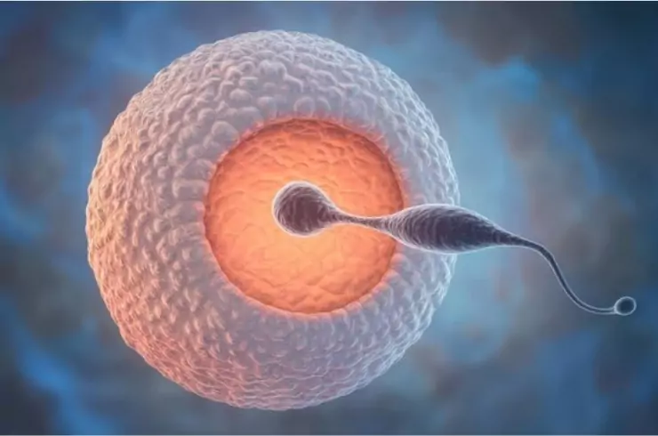 ovulation-induction